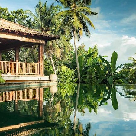 Sri Yoga Shala Bed & Breakfast Unawatuna Ngoại thất bức ảnh
