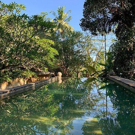 Sri Yoga Shala Bed & Breakfast Unawatuna Ngoại thất bức ảnh