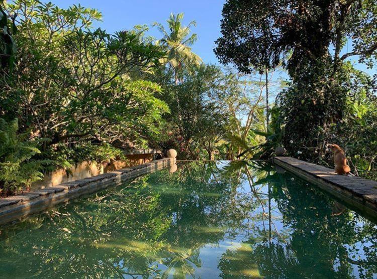 Sri Yoga Shala Bed & Breakfast Unawatuna Ngoại thất bức ảnh